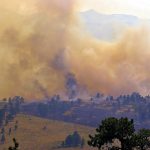 Dinas Damkar Tulang Bawang Evakuasi di Gedung di Hutan Kota